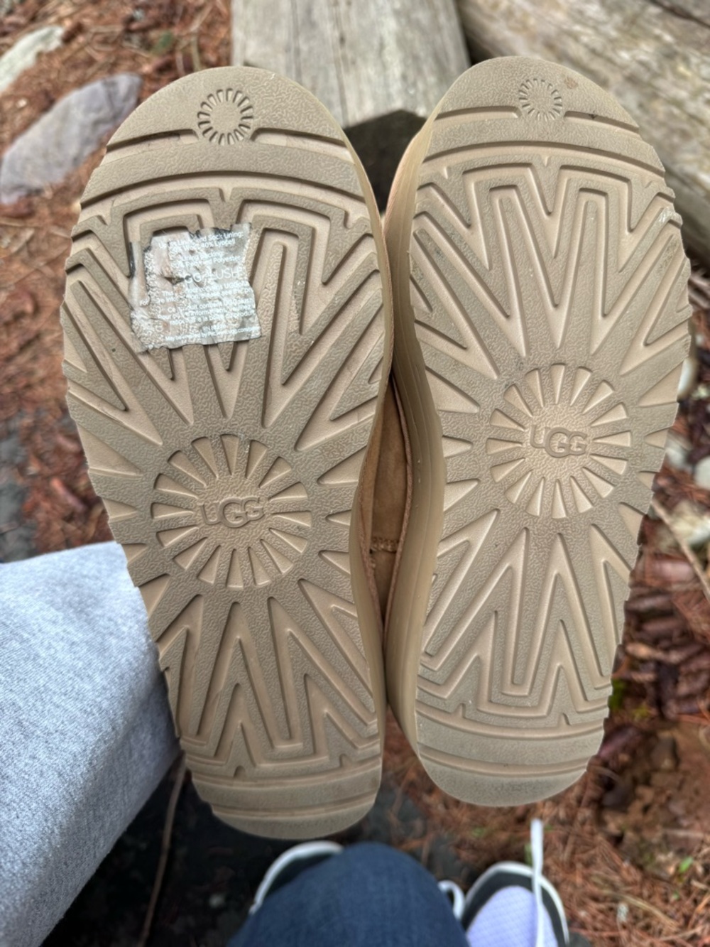 UGG Chestnut Suede Platform Mini Booties - Picture 14 of 15